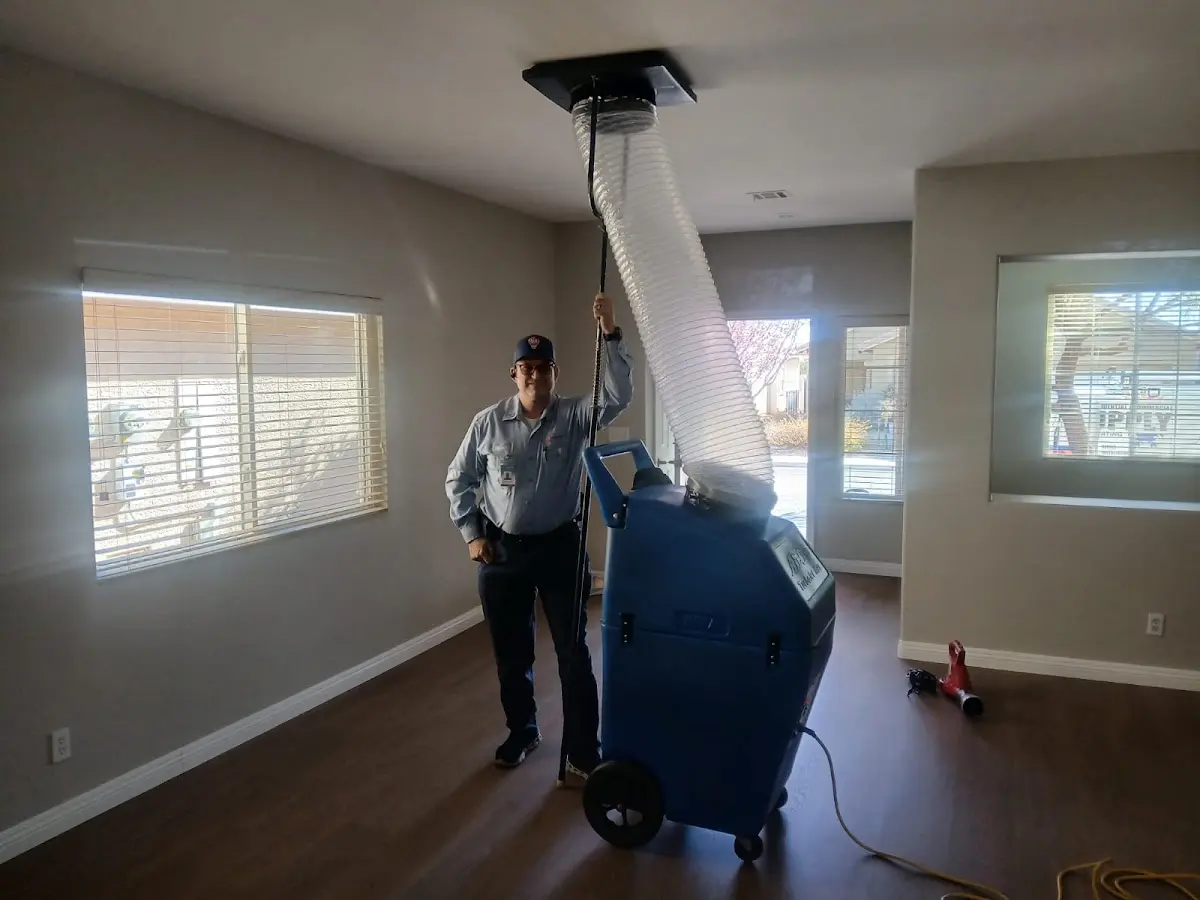 Professional Dryer Vent Cleaning work inside a Wildewood home